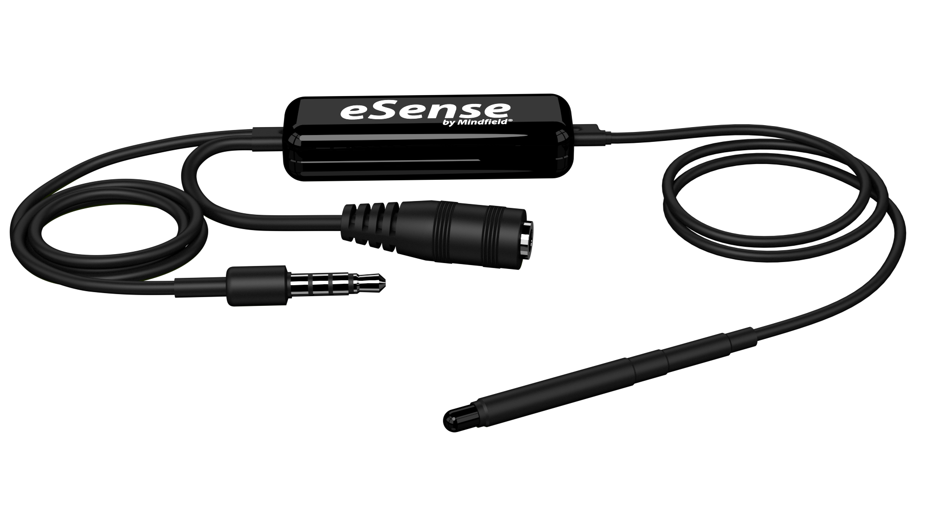 eSense Temperature Sensor